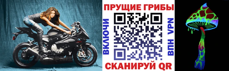 Псилоцибиновые грибы мухоморы  blacksprut сайт  Железногорск-Илимский  где купить  